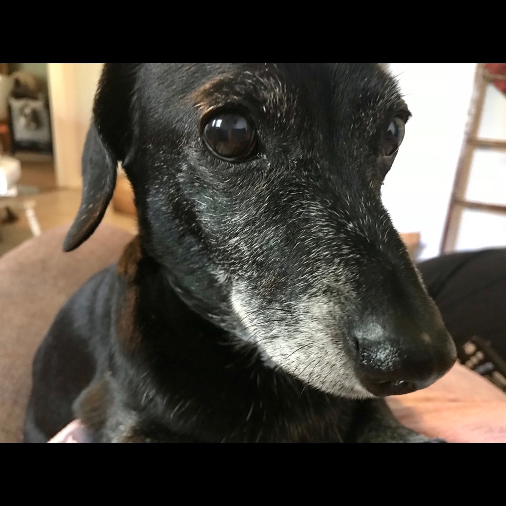 Meet your Posher, April